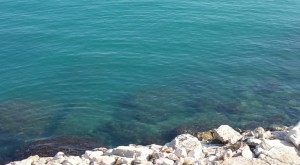 Mare incontaminato a Termoli